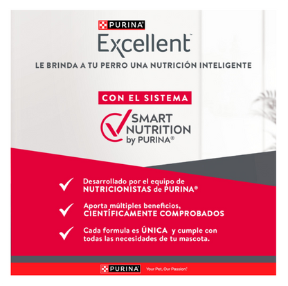 Excellent Adultos Razas Medianas y Grandes