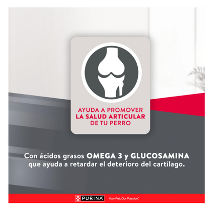 Excellent Adultos Razas Medianas y Grandes