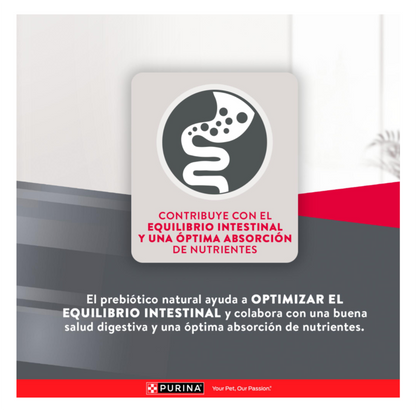 Excellent Adultos Razas Medianas y Grandes