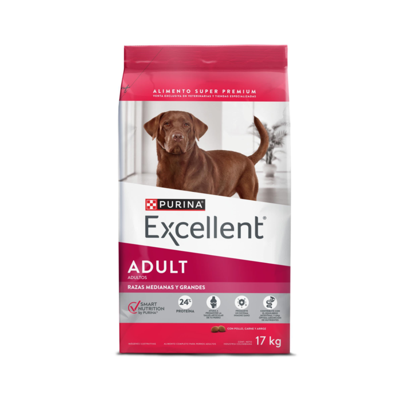 Excellent Adultos Razas Medianas y Grandes