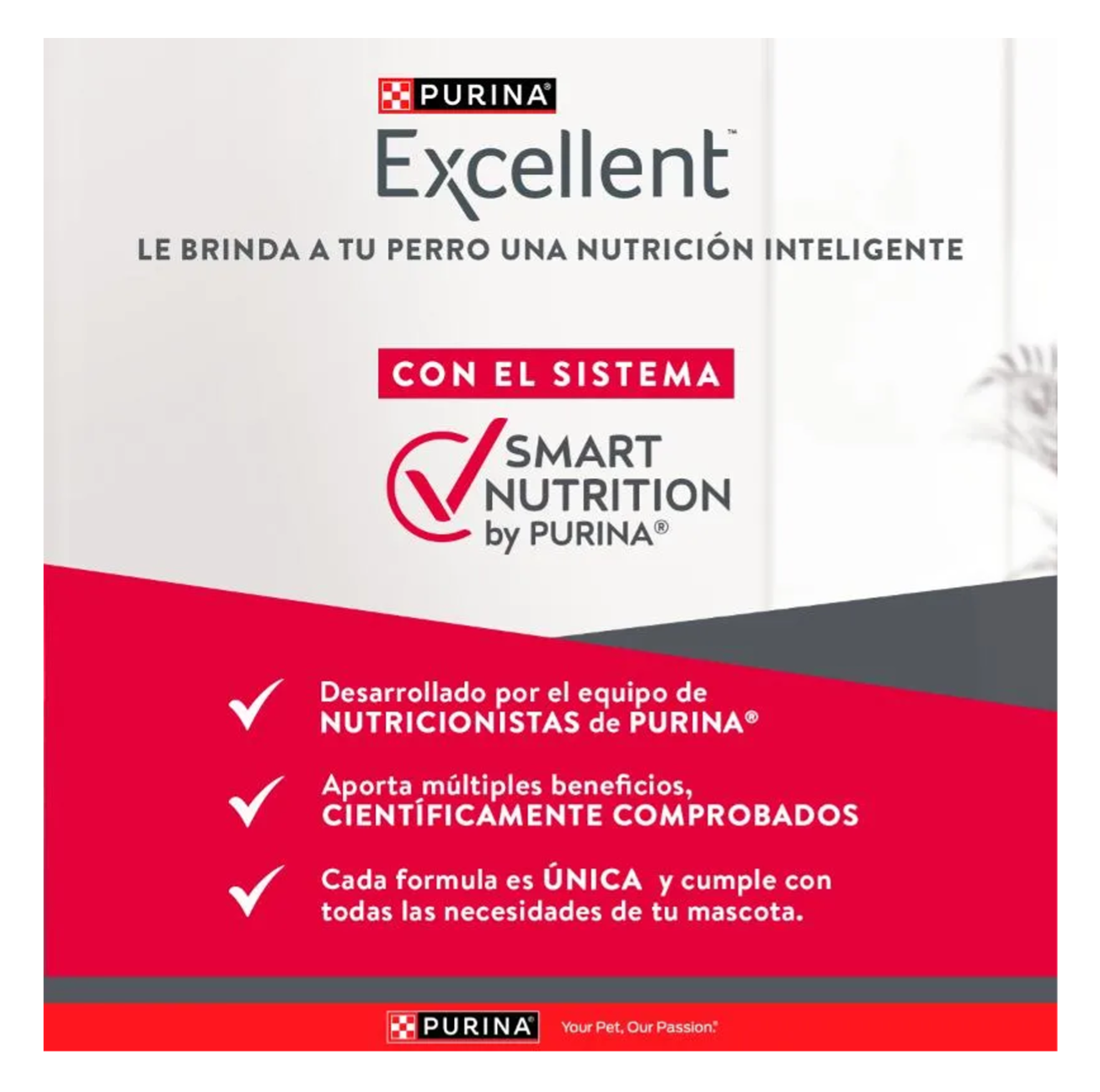 Excellent Cachorros Razas Medianas y Grandes - Alimento para Perros