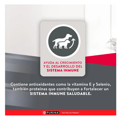 Excellent Cachorros Razas Medianas y Grandes - Alimento para Perros