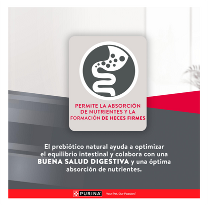 Excellent Cachorros Razas Pequeñas - Alimento para Perros