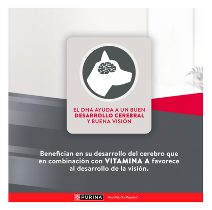 Excellent Cachorros Razas Pequeñas - Alimento para Perros