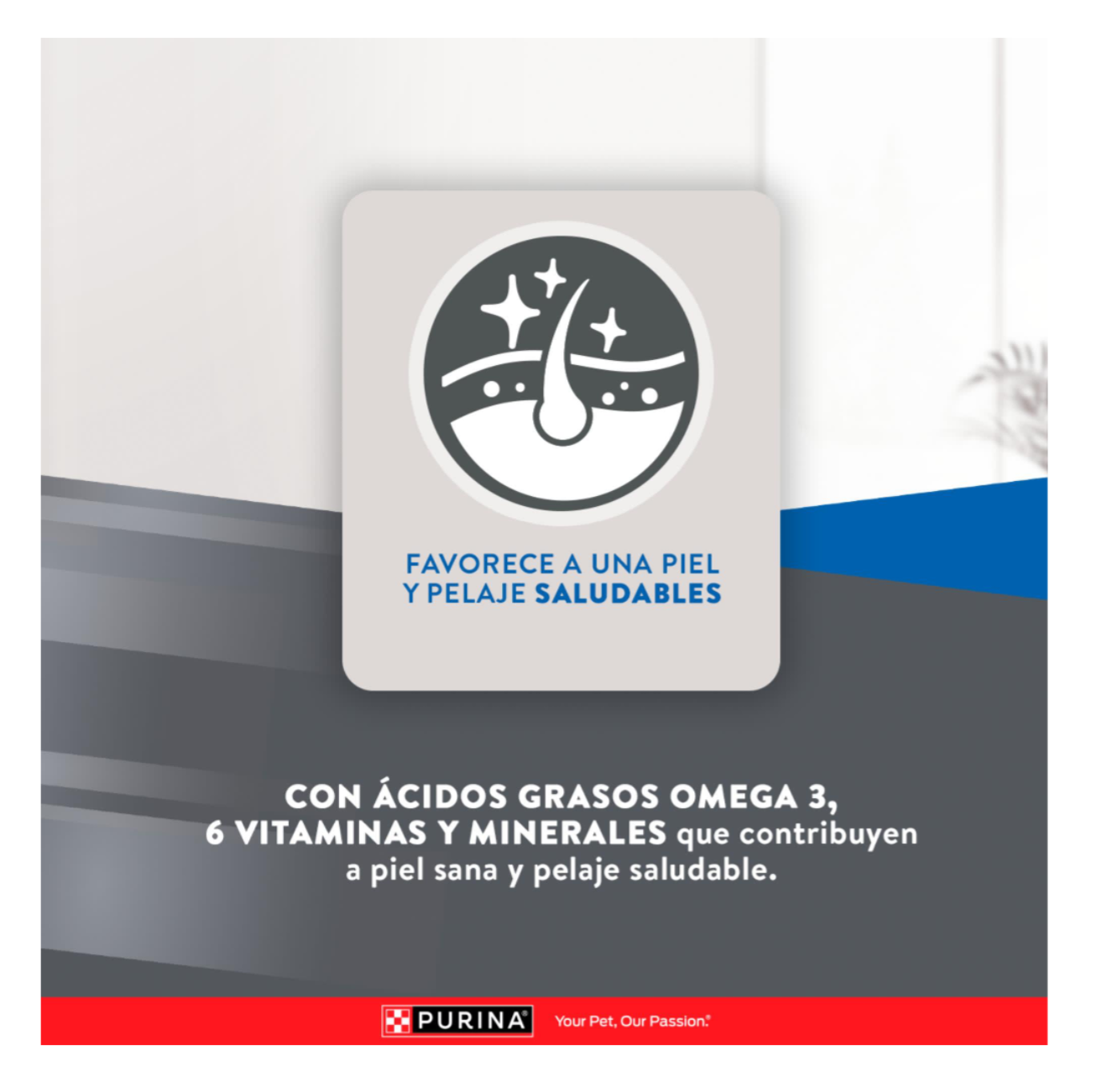 Purina Excellent Gato Adulto - Alimento para Gatos