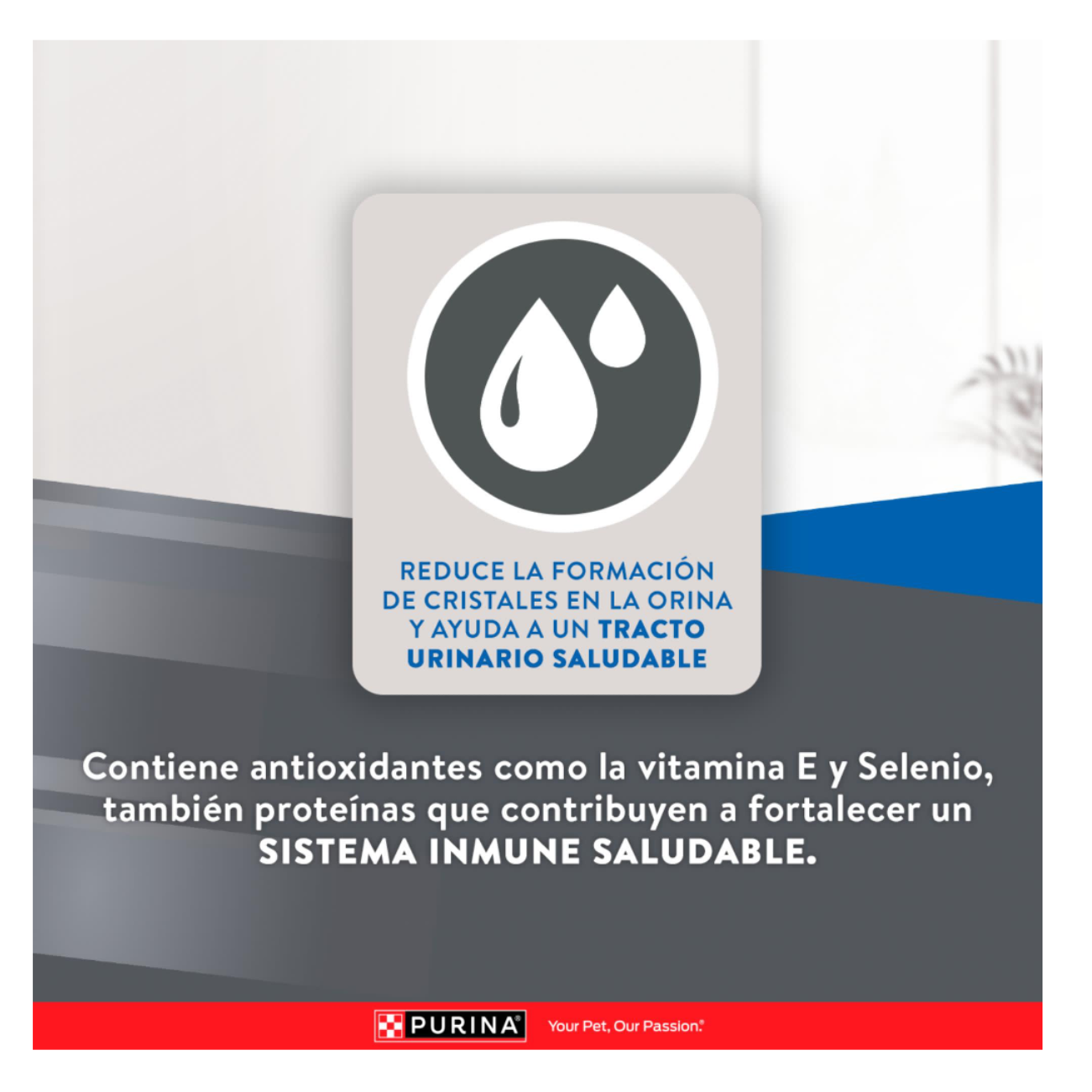 Excellent Gato Adulto Urinary - Alimento para Gatos