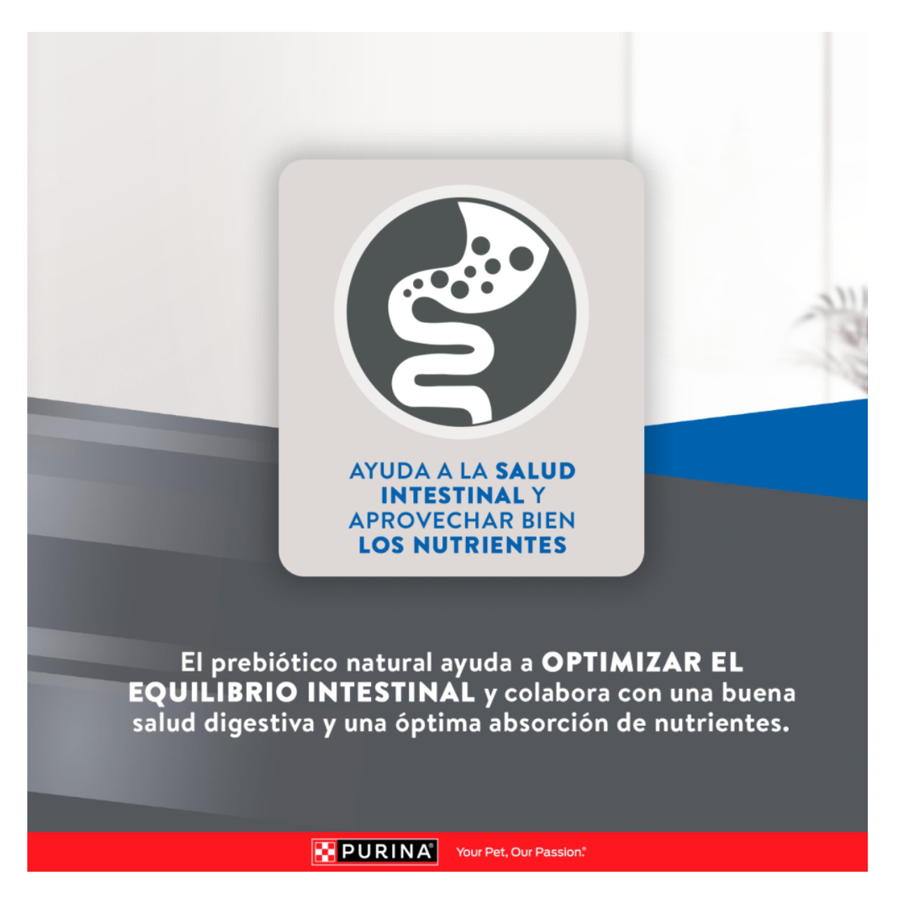 Excellent Gato Adulto Urinary - Alimento para Gatos