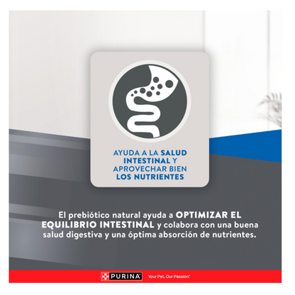 Excellent Gato Adulto Urinary - Alimento para Gatos