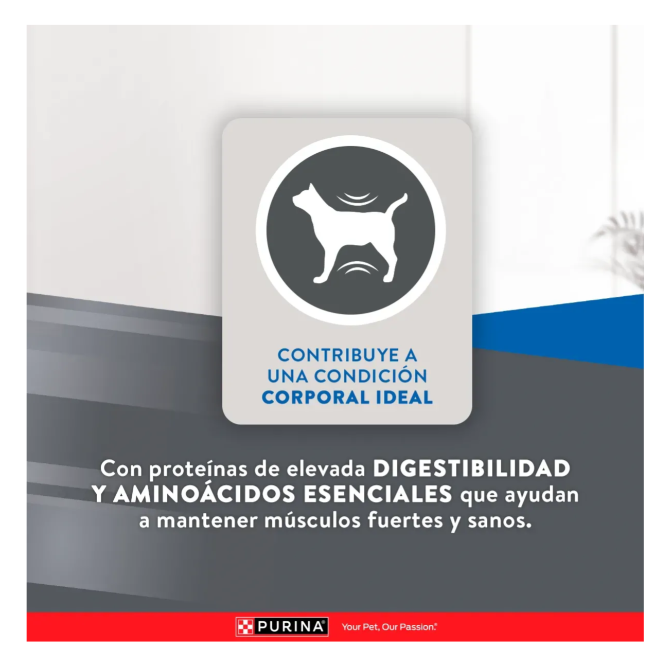 Excellent Gatos Sterilized - Alimento para Gatos