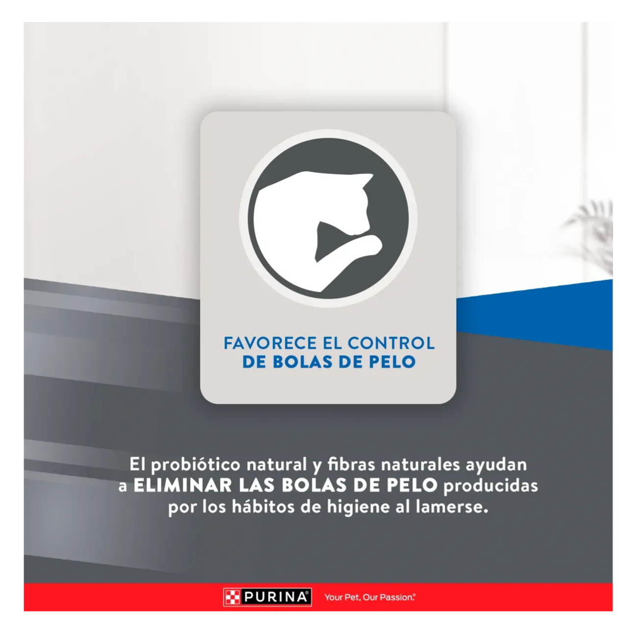 Excellent Gatos Sterilized - Alimento para Gatos