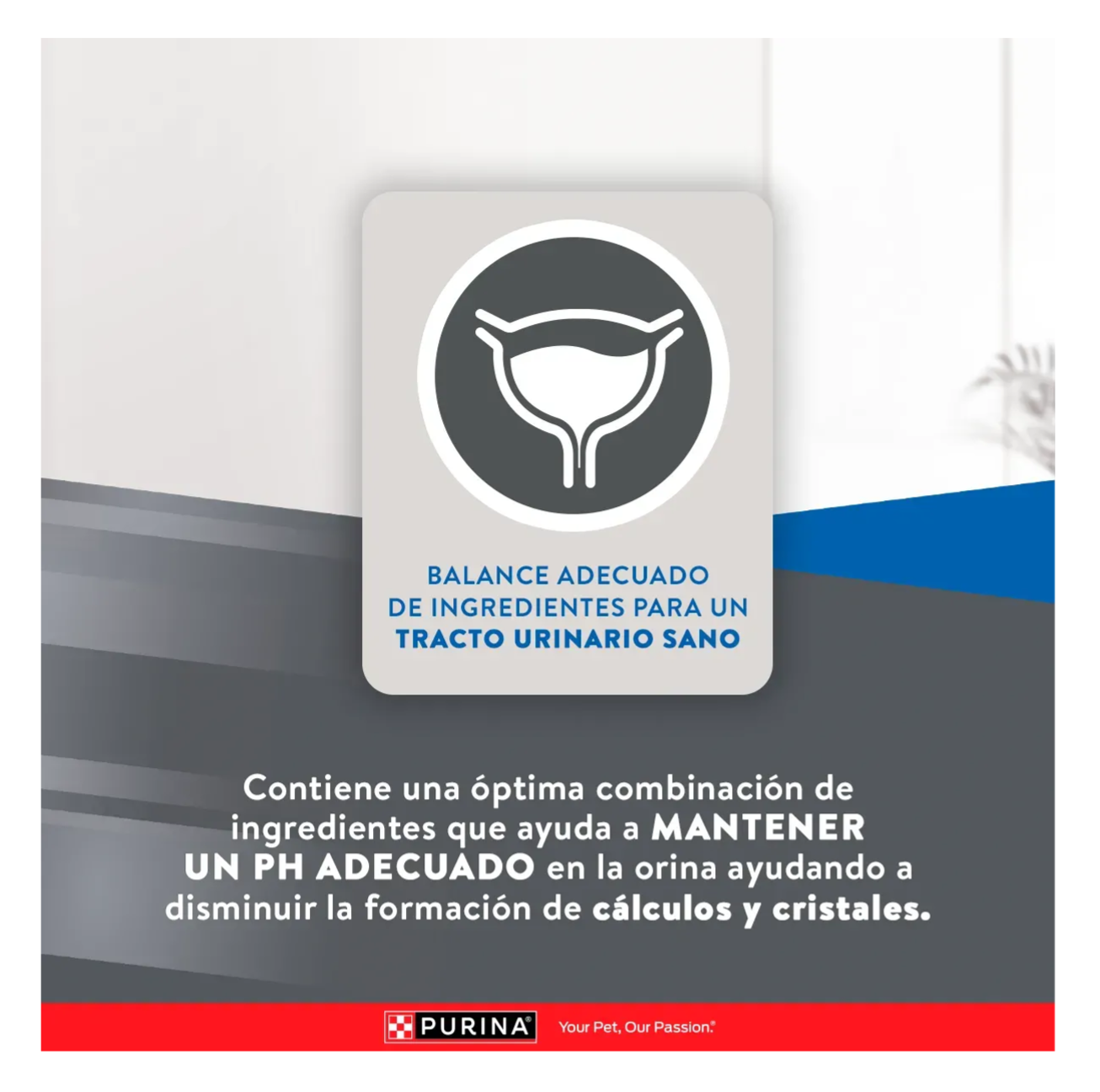 Excellent Gatos Sterilized - Alimento para Gatos