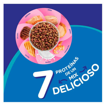 Felix Gatitos Megamix - Alimento para Gatos