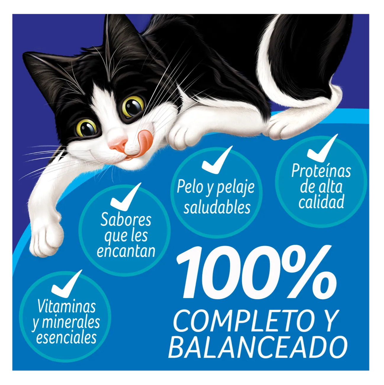 Felix Gatitos Megamix - Alimento para Gatos