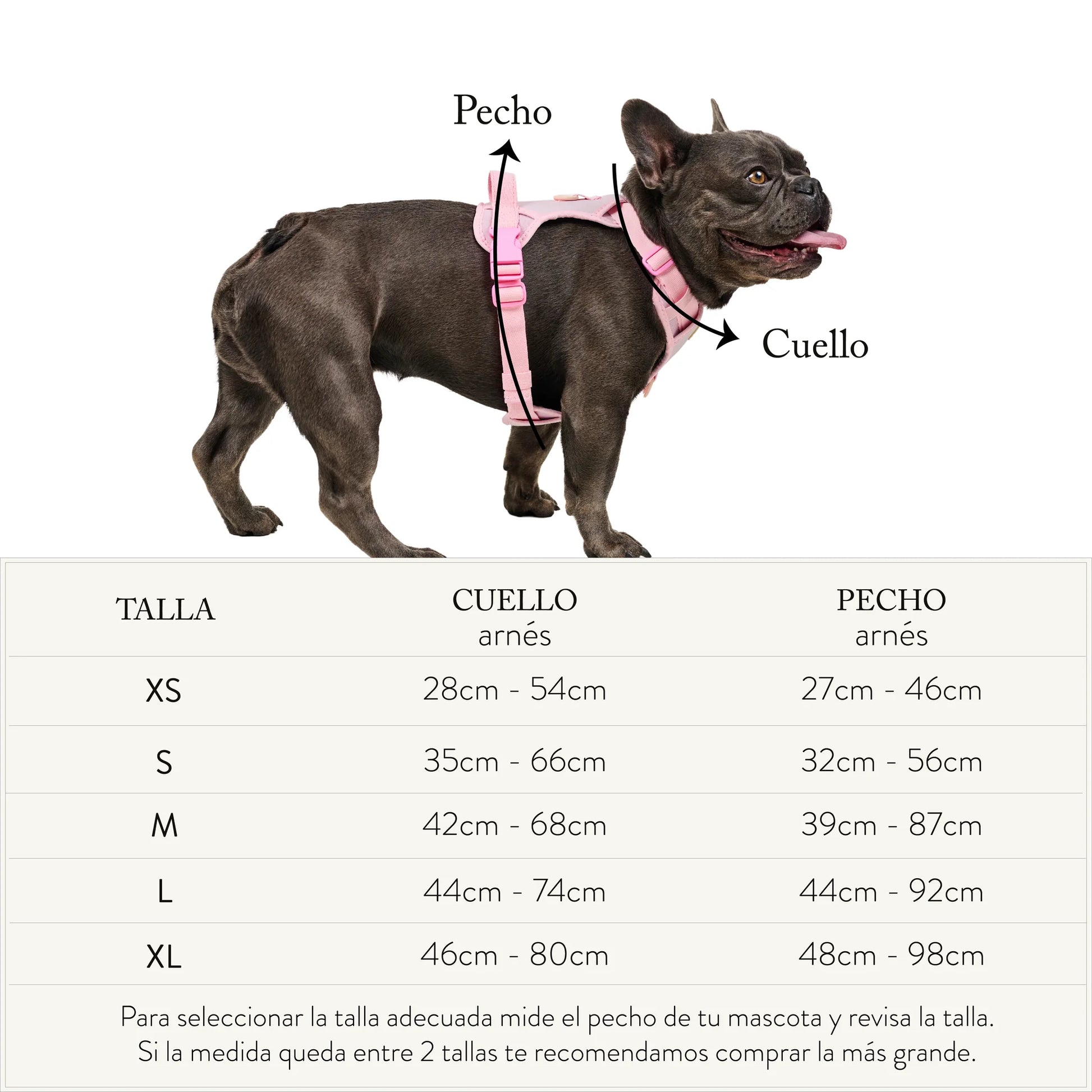 Feroz Arnés Deportivo Basic - Arnés para Perros