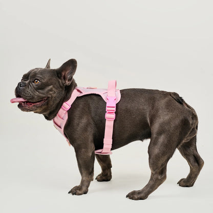 Feroz Arnés Deportivo Basic Rosa - Arnés para Perros