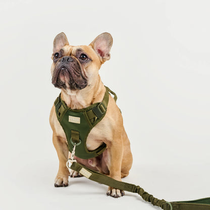 Feroz Arnés Deportivo Basic Verde Militar - Arnés para Perros