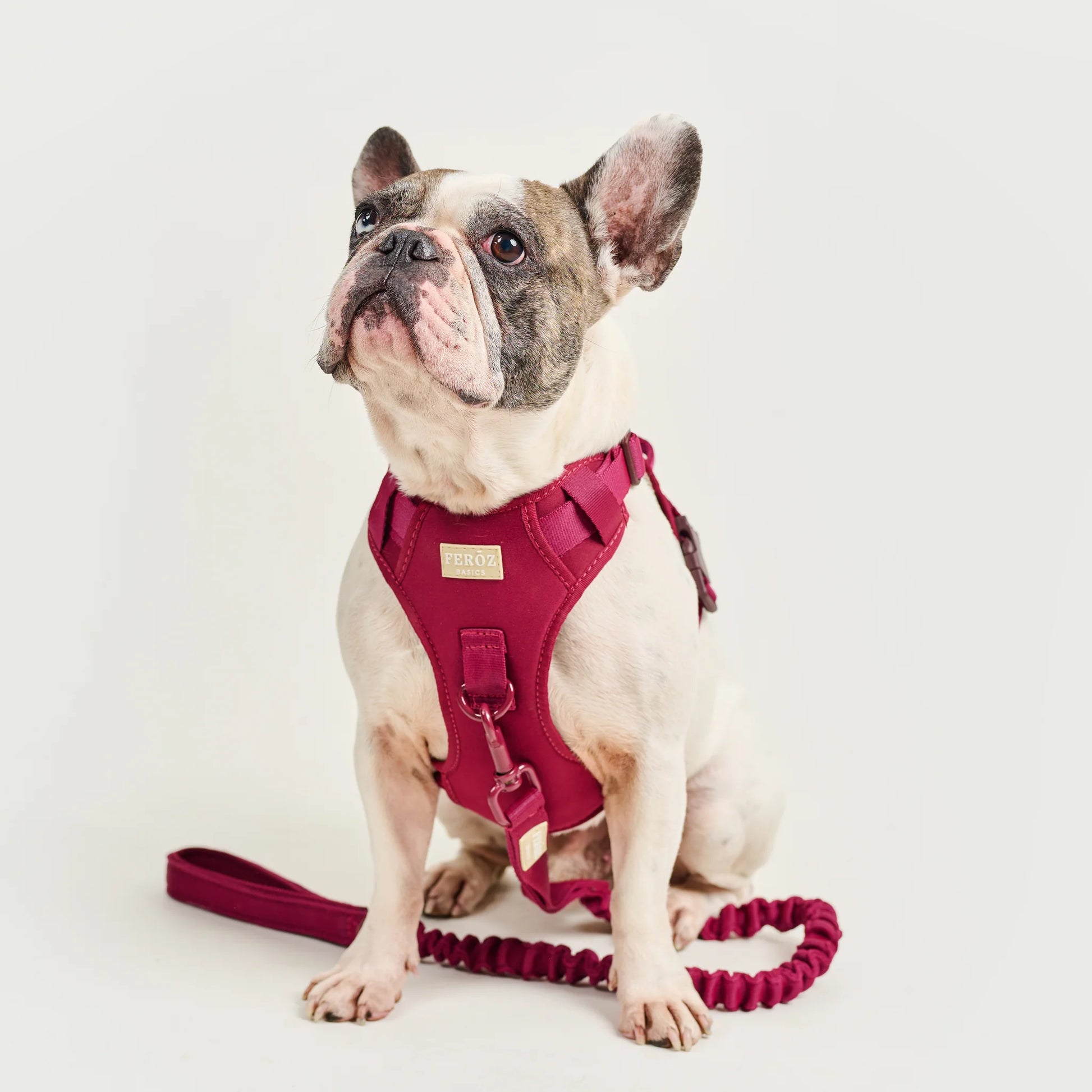 Feroz Arnés Deportivo Basic Vinotinto - Arnés para Perros
