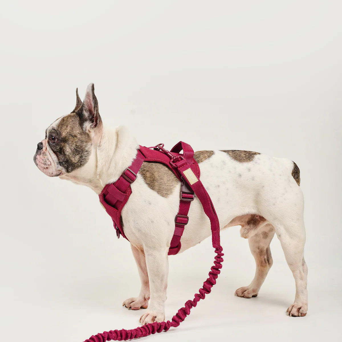 Feroz Arnés Deportivo Basic Vinotinto - Arnés para Perros