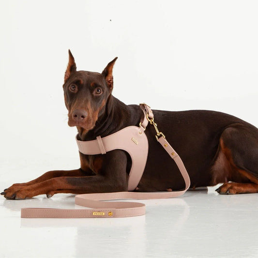 Feroz Arnés de Cuero Rosa - Arnés para Perros