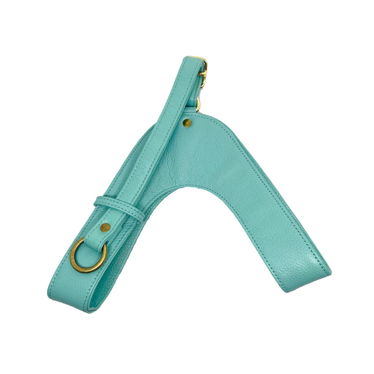 Feroz Arnés de Cuero Turquesa - Arnés para Perros