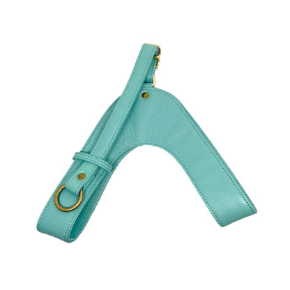 Feroz Arnés de Cuero Turquesa - Arnés para Perros