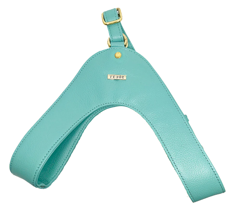 Feroz Arnés de Cuero Turquesa - Arnés para Perros