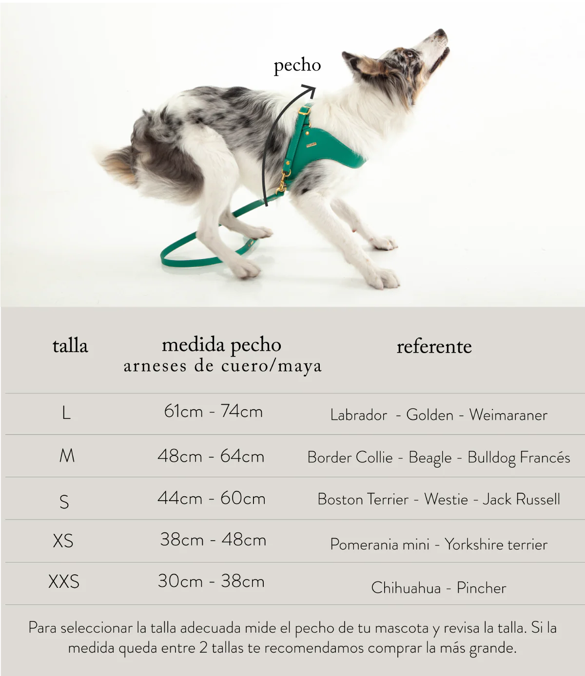 Feroz Arnés de Cuero - Arnés para Perros