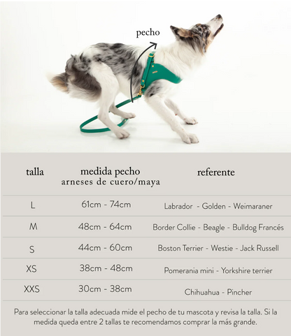 Feroz Arnés de Cuero - Arnés para Perros