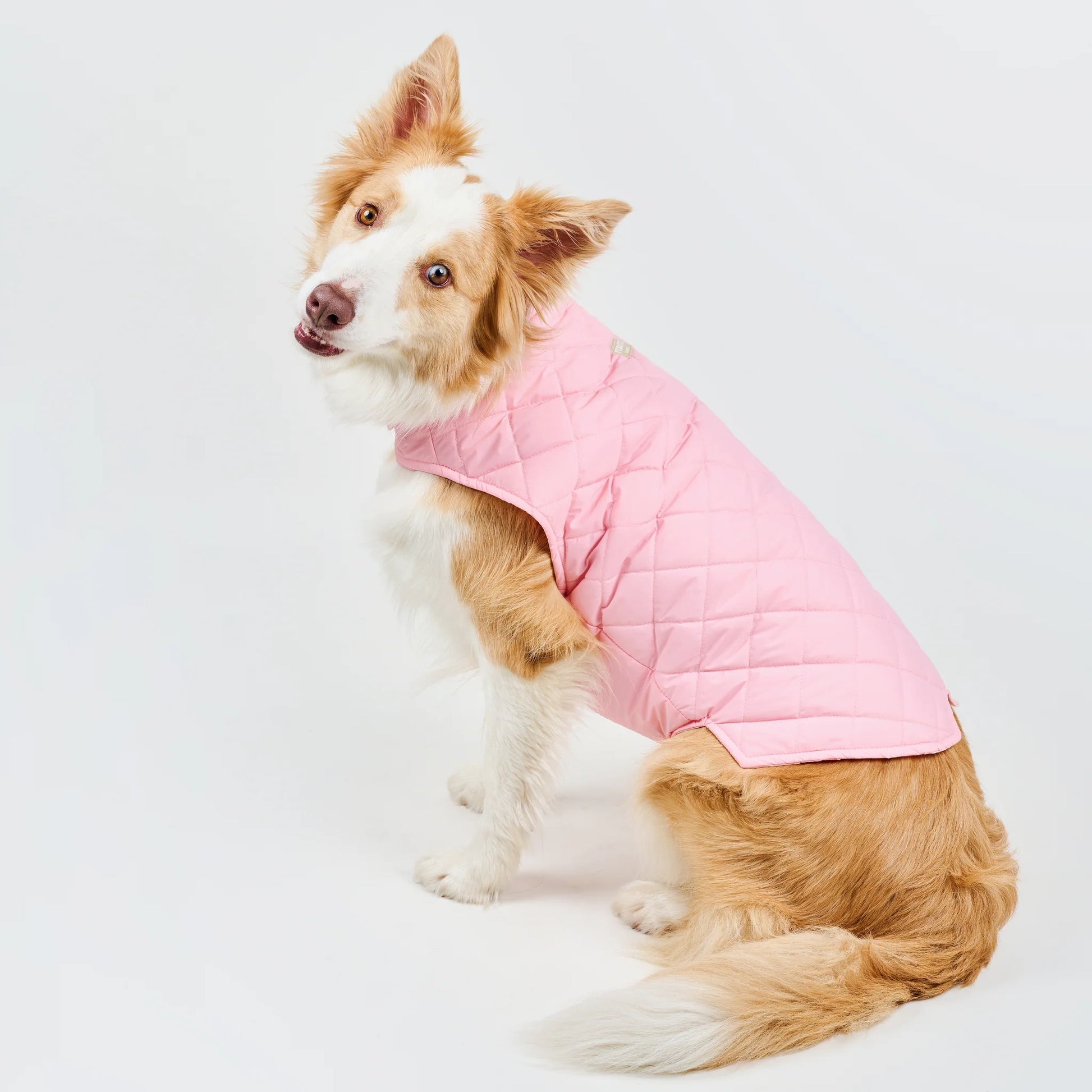 Feroz Chaleco Deportivo Basic Rosa - Ropa para Perros