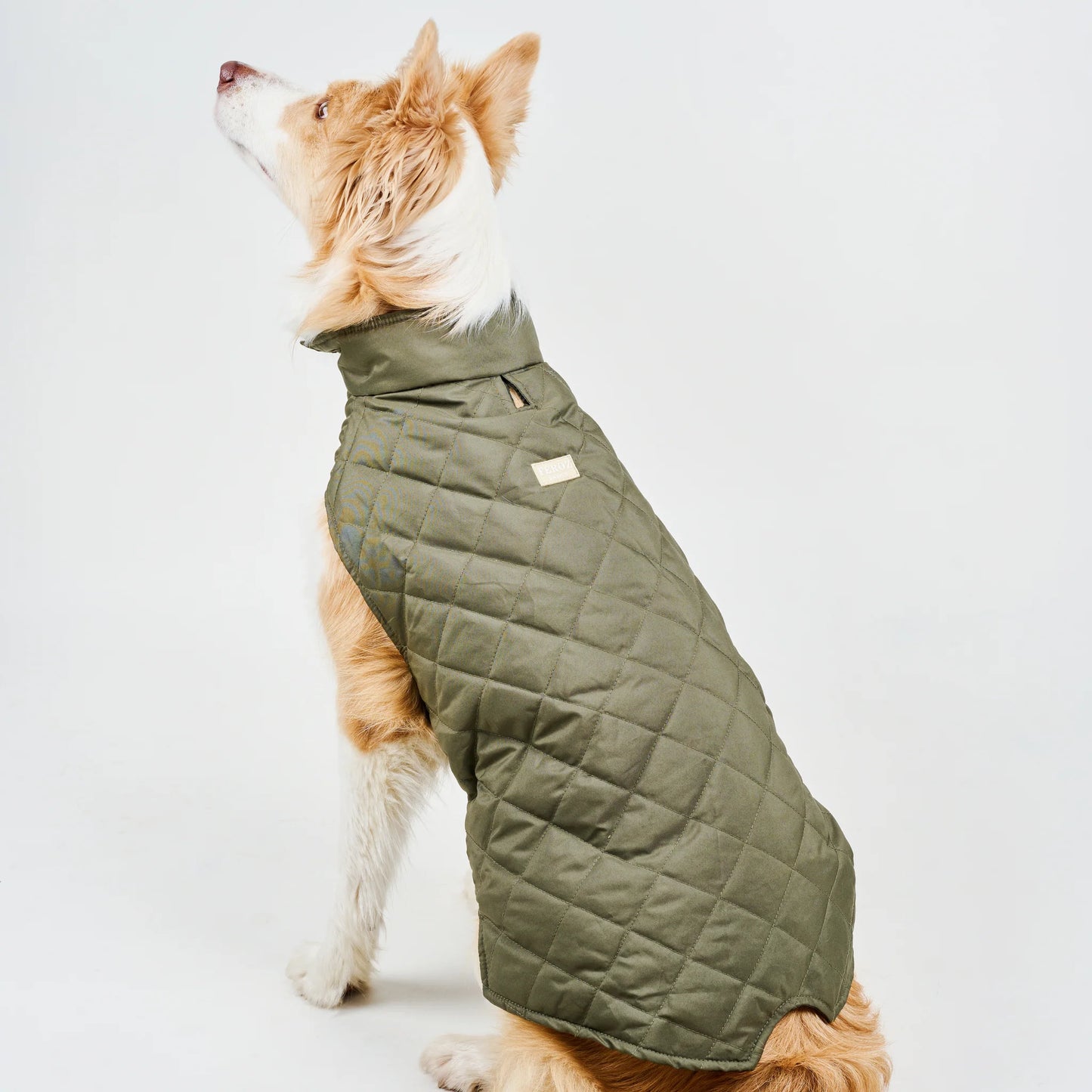 Feroz Chaleco Deportivo Basic Verde Militar - Ropa para Perros