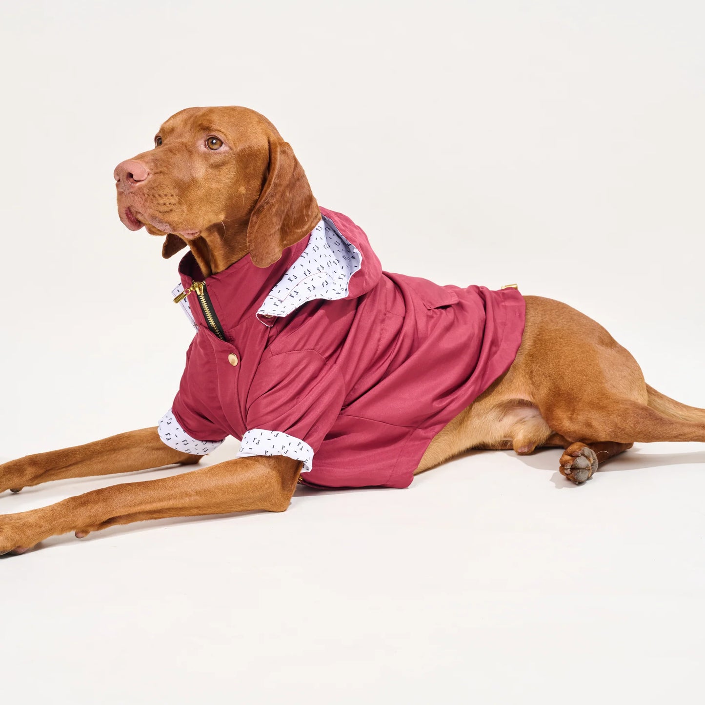 Feroz Chaqueta Impermeable Vinotinto - Ropa para Perros