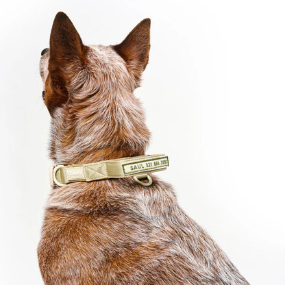 Feroz Collar Reata Basic Verde Militar - Collares para Perros