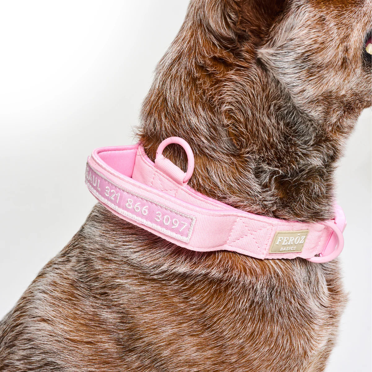 Feroz Collar Reata Basic Rosa - Collares para Perros