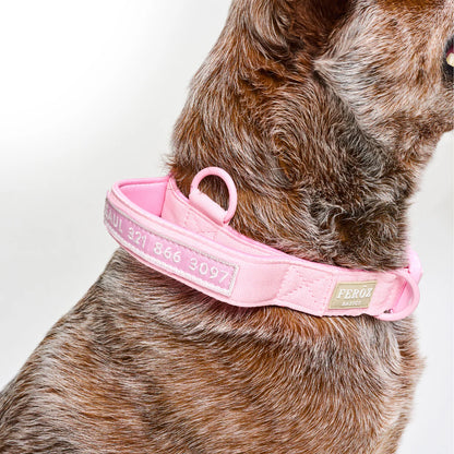 Feroz Collar Reata Basic Rosa - Collares para Perros