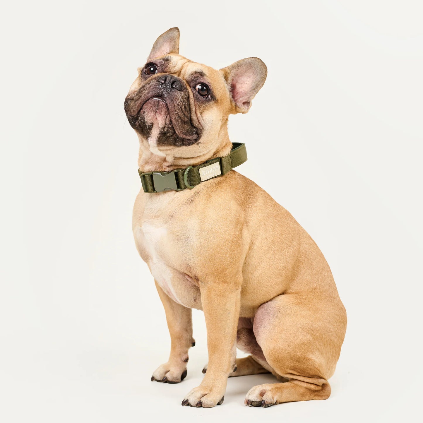 Feroz Collar Reata Basic Verde Militar - Collares para Perros