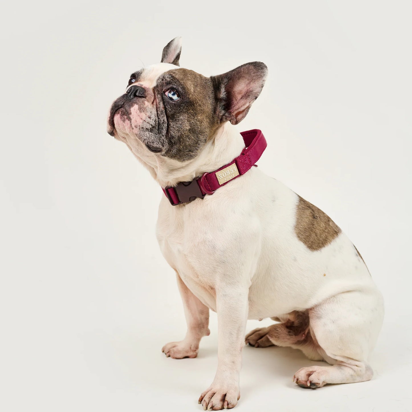 Feroz Collar Reata Basic Vinotinto - Collares para Perros