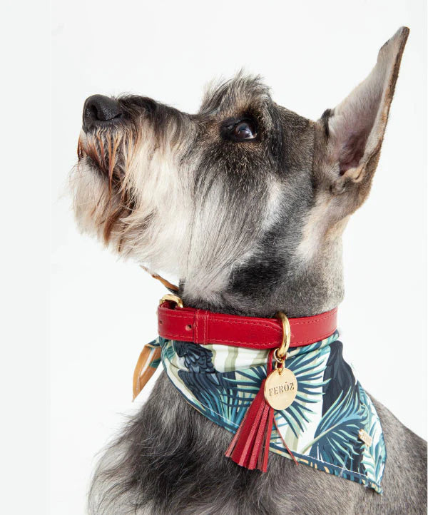 Feroz Collar de Cuero Rojo - Collares para Perros