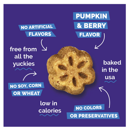 Fruitables Skinny Minis Pumpkin and Berry - Snacks para Perros