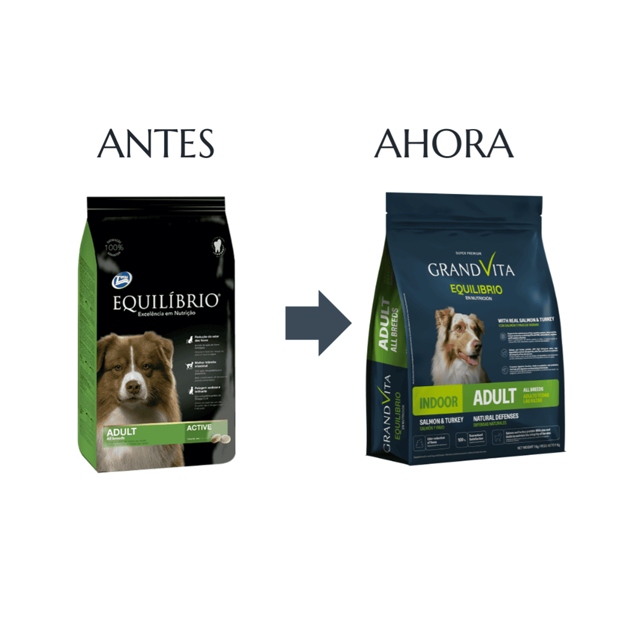 Grand Vita Equilibrio Perro Adulto Todas las Razas - Alimento para Perros