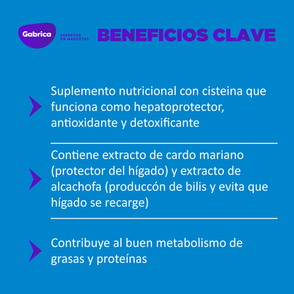 Hepvet Pet - Suplementos para Perros y Gatos - Petit Paws