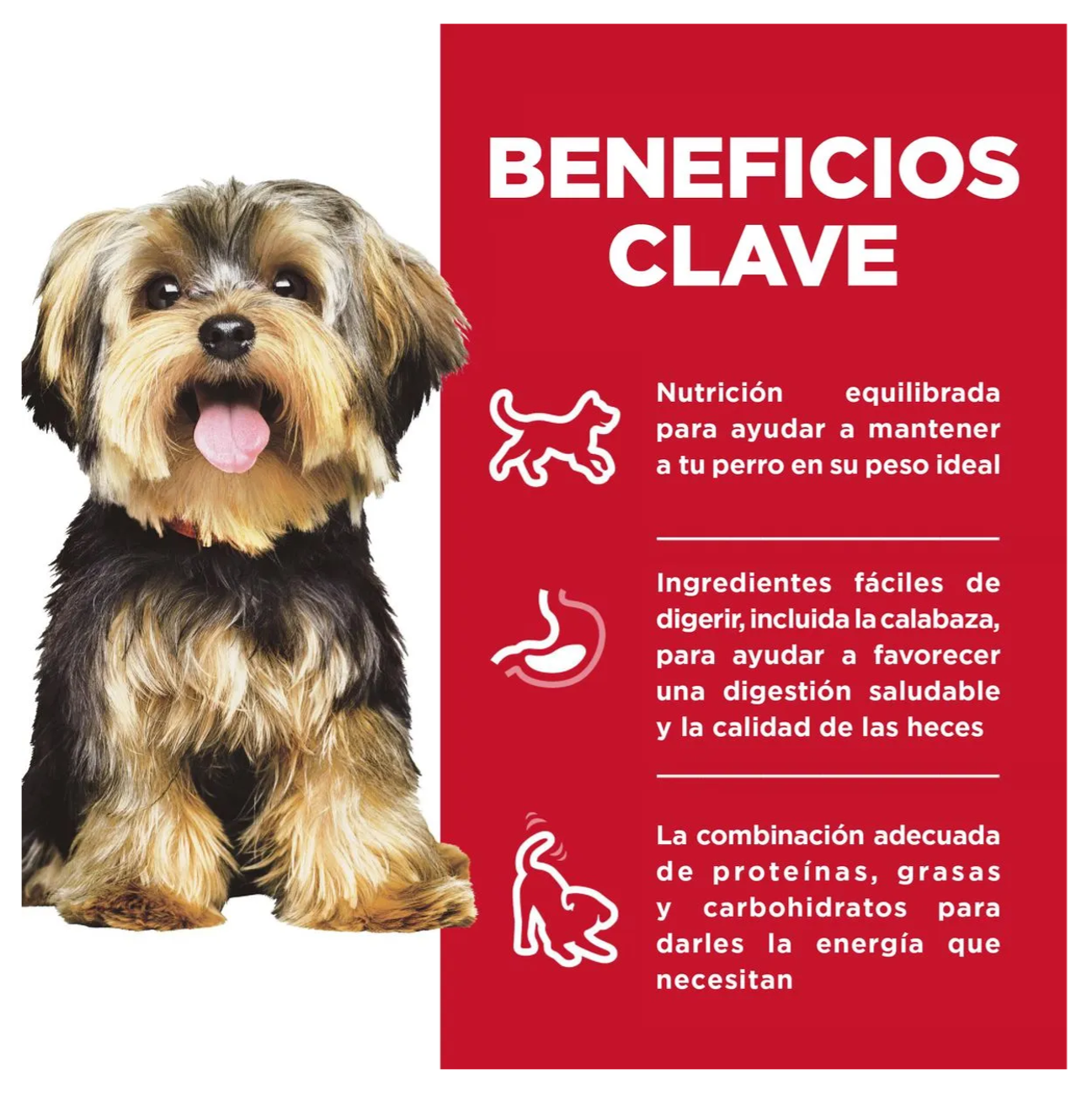 Hill's Adult Small and Mini Chicken Tray - Alimento Húmedo para Perros