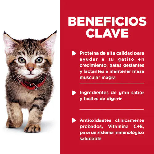 Hills Kitten Tender Chicken Dinner Pouch - Alimento Húmedo para Gatos