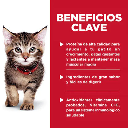 Hills Kitten Tender Chicken Dinner Pouch - Alimento Húmedo para Gatos
