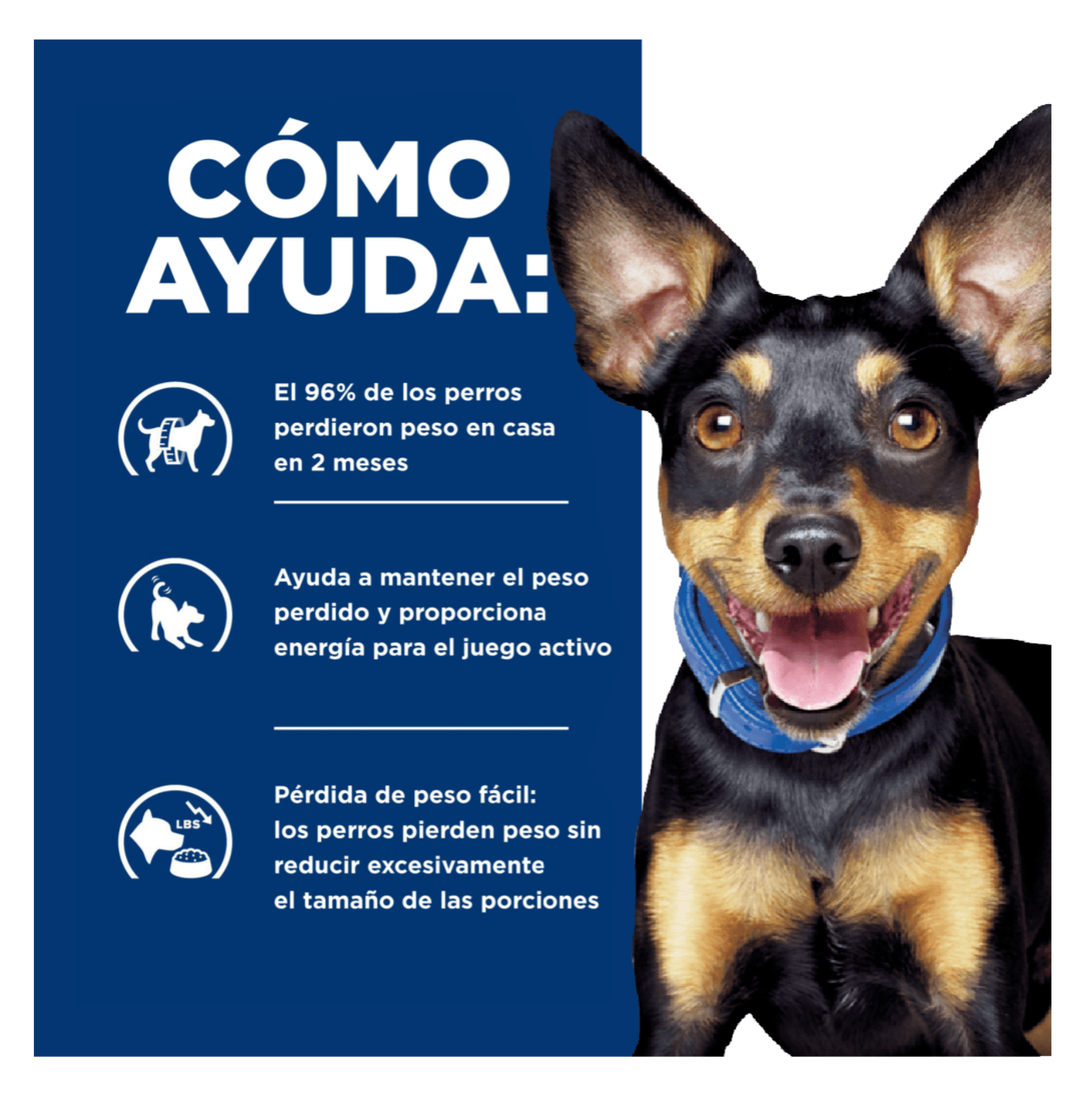 Hills Prescription Diet Metabolic Small Bites - Alimento para Perros