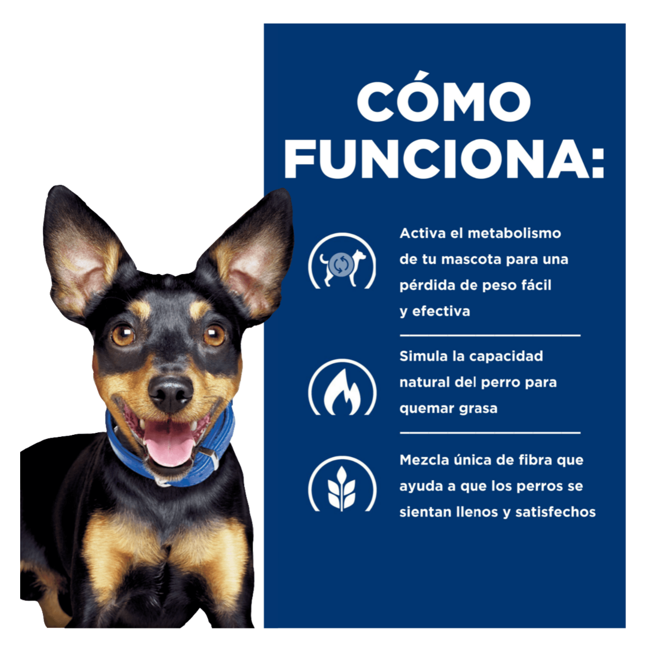 Hills Prescription Diet Metabolic Small Bites - Alimento para Perros