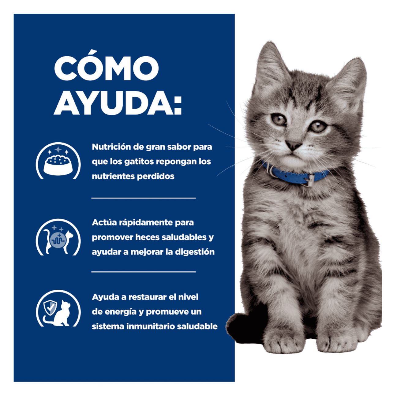 Hill's Prescription Diet i/d Kitten - Alimento para Gatos