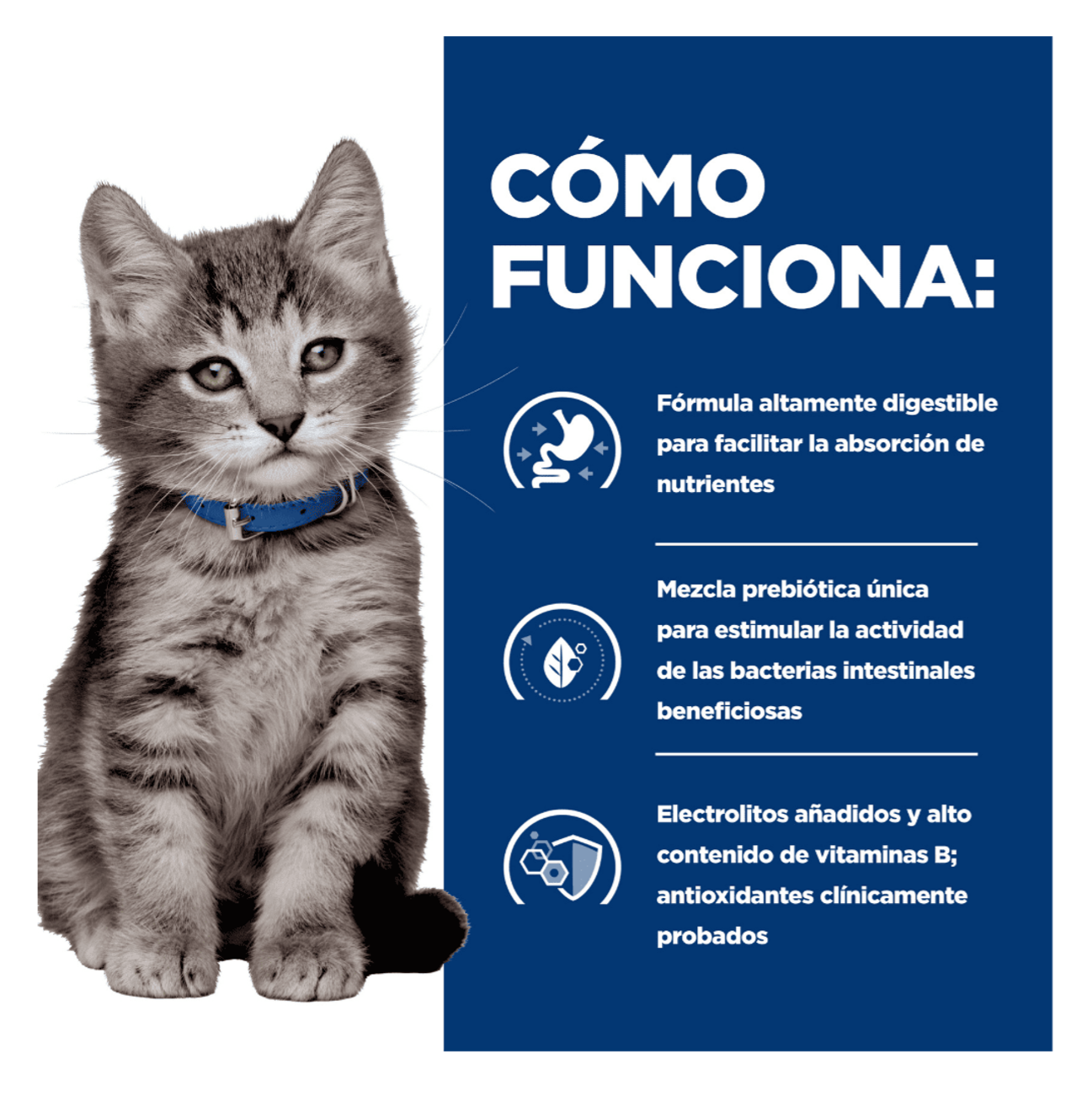 Hill's Prescription Diet i/d Kitten - Alimento para Gatos