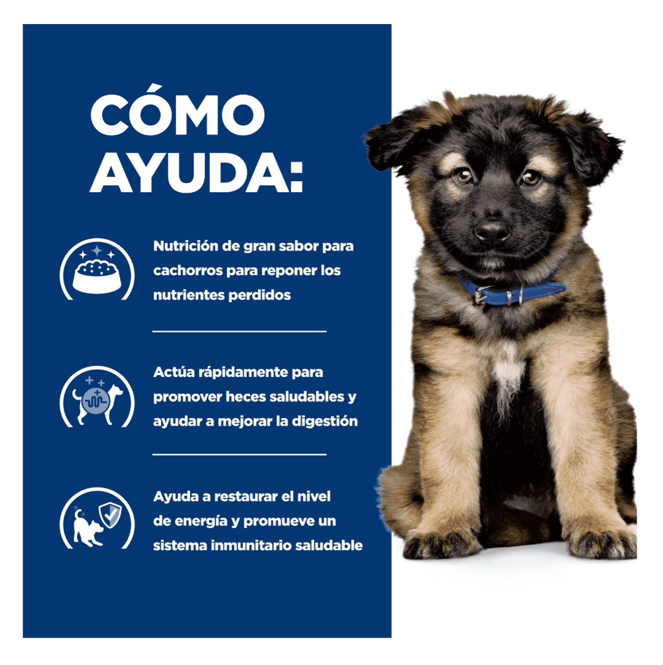Hill's Prescription Diet i/d Puppy - Alimento para Perros