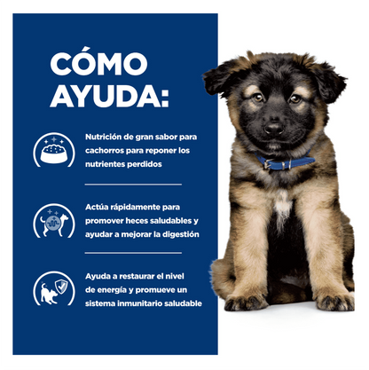 Hill's Prescription Diet i/d Puppy - Alimento para Perros