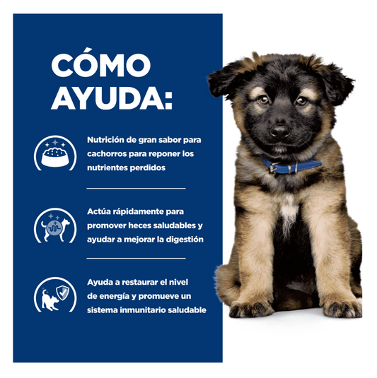 Hill's Prescription Diet i/d Puppy - Alimento para Perros